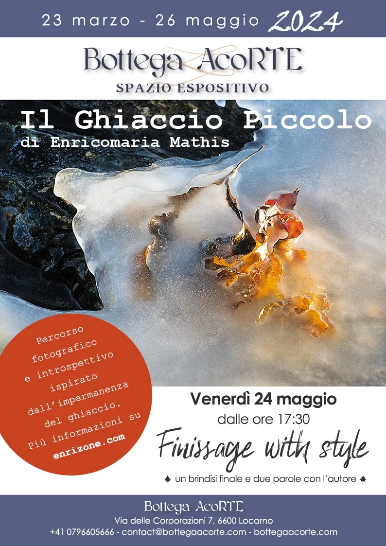 Mostra_bottega-a-corte_locarno_il-ghiacciaio-piccolo_Enricomaria-Mathis
