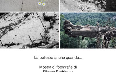 La bellezza anche quando…